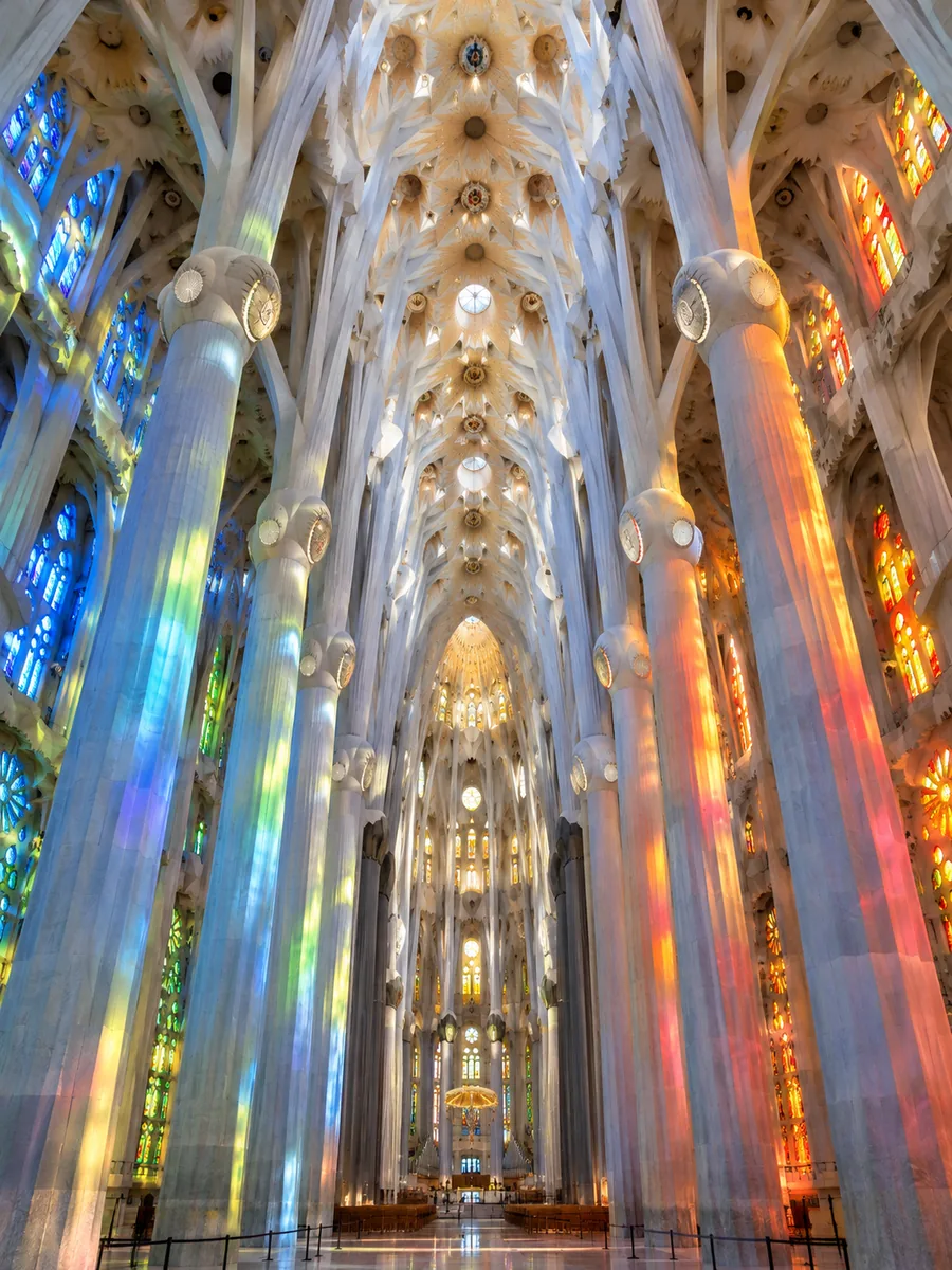 The nave's tree-like stone columns lit by coloured light from the stained glass